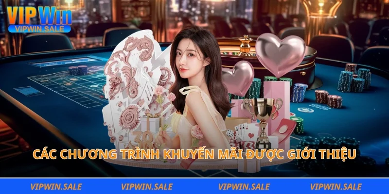 Các chương trình khuyến mãi được giới thiệu Vipwin nổi bật nhất 